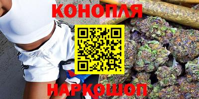 гашик Новодвинск