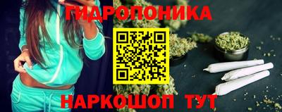 амф Новокубанск
