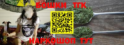 крисы Новозыбков