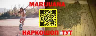 крисы Новозыбков