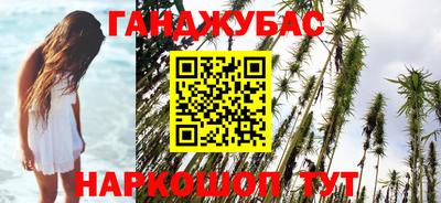 гашик Новодвинск