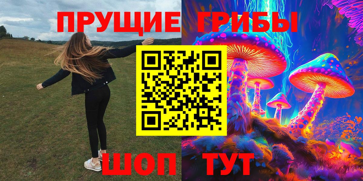 Псилоцибиновые грибы мицелий Солнечногорск