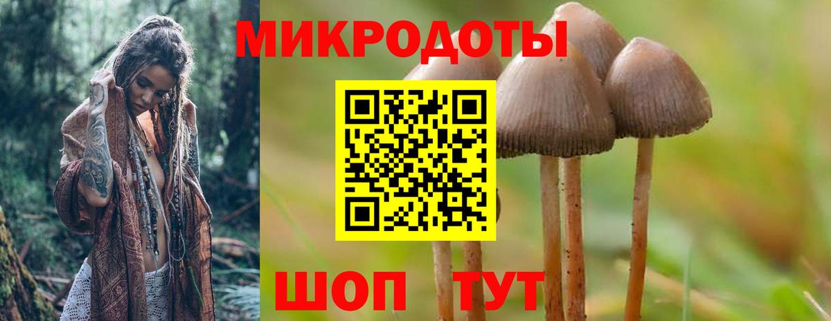 Псилоцибиновые грибы мицелий  Вход с VPN  Солнечногорск 